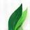 Logo GreenLab Milano